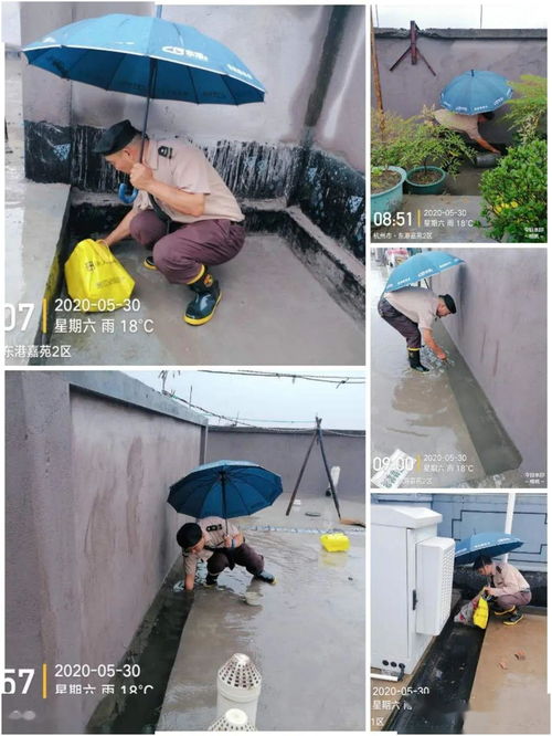 野風東港嘉苑項目物業服務中心5月第五周工作簡報（建筑物清潔服務）
